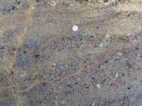 Albums/20060200-New Zealand 2006/20060316-Twiz/5